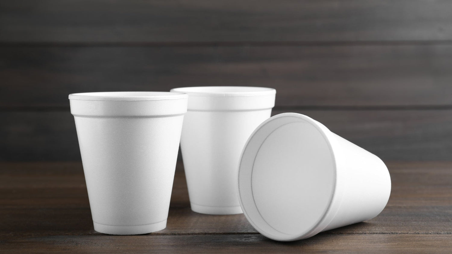 Foam Cups and Lids